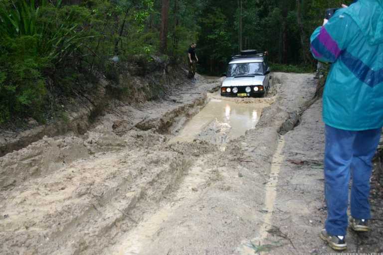 Watagans 15-7-06 (cal415's photos)