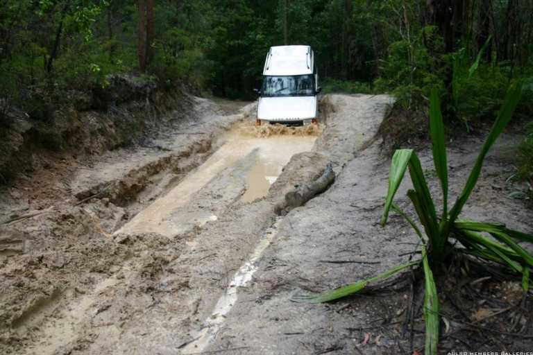 Watagans 15-7-06 (cal415's photos)