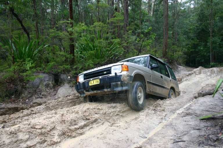 Watagans 15-7-06 (cal415's photos)