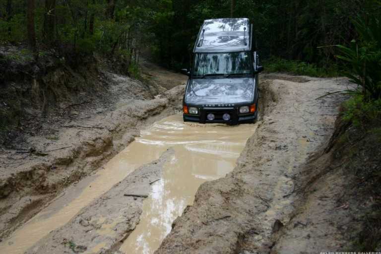 Watagans 15-7-06 (cal415's photos)