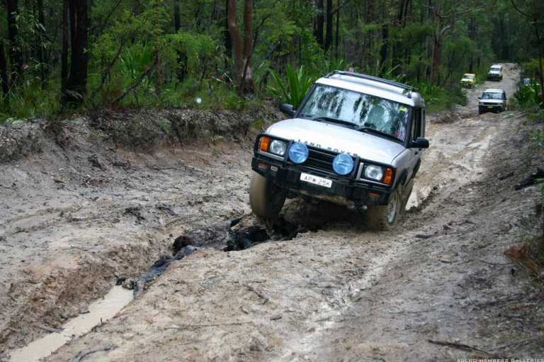 Watagans 15-7-06 (cal415's photos)