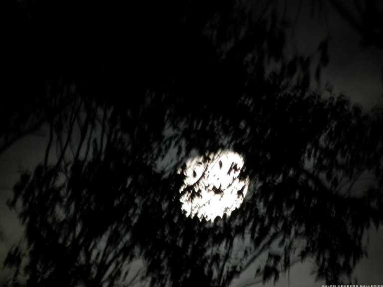 GCLRO EASTER CAMPOUT 2011