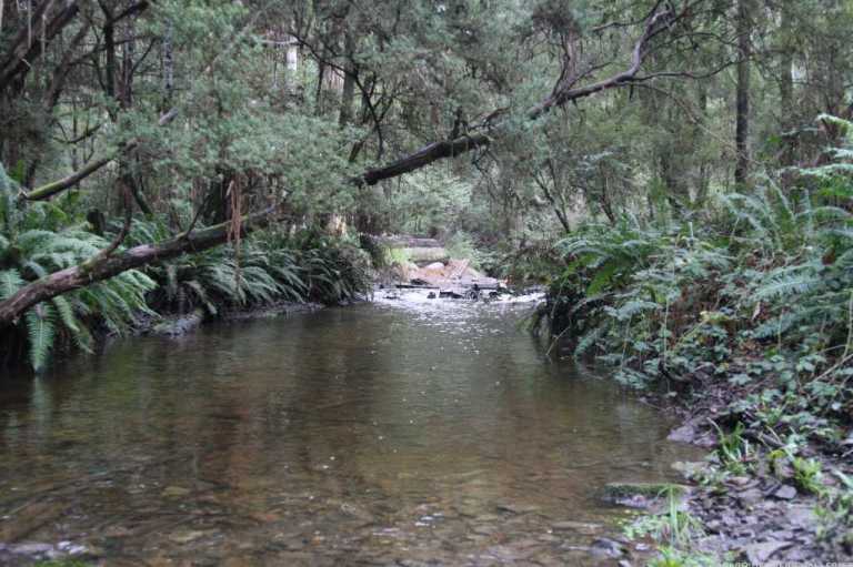 Big river 28 &amp;29 June 08