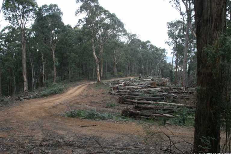 Big river 28 &amp;29 June 08