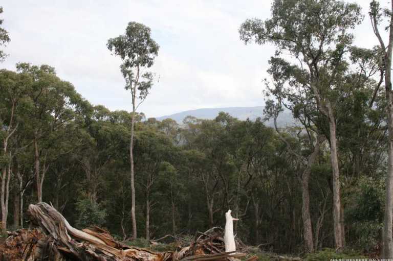 Big river 28 &amp;29 June 08