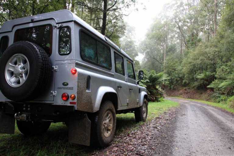 Defender 2008 in the Otways