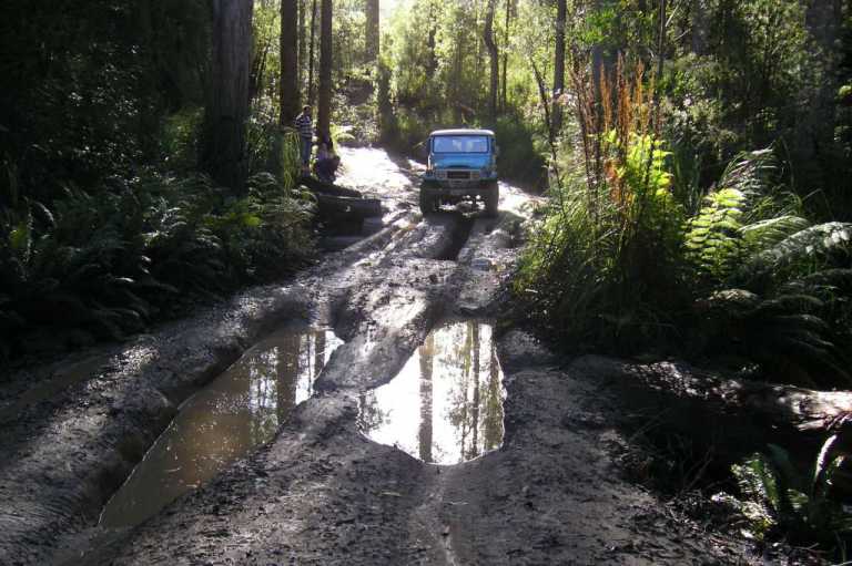 Old_Weld_River_Track_006