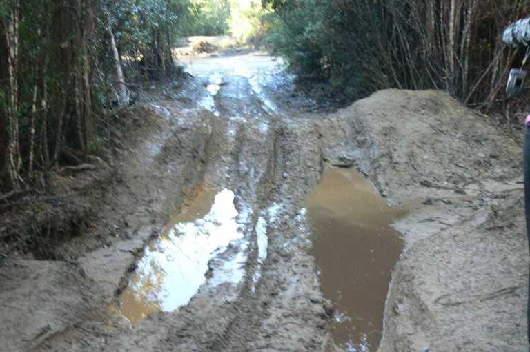 Snug Tears Hobart Tasmania