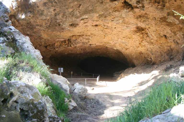 Stockyard Gull National Park