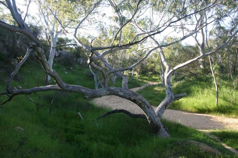 Stock Gully National Park