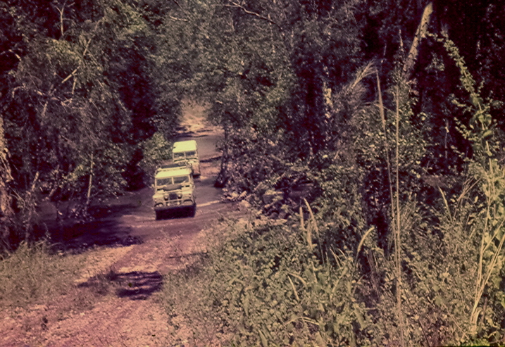 Sth_Alligator_Crossing