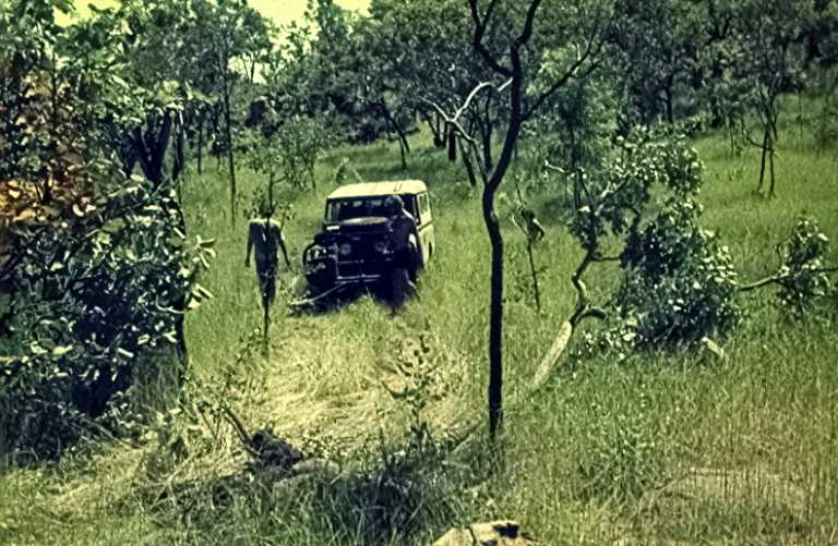 NT 1973 Ferguson River