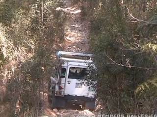 GCLRO_Coffs_Coast_Adventure_Weeds_020