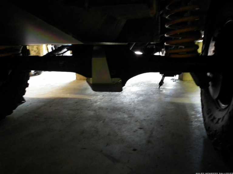 lous_new_photos_12052011_158